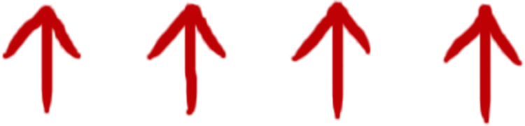 BioFit